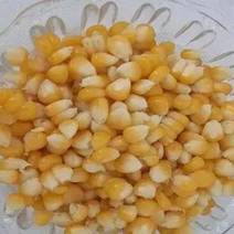 二级玉米
