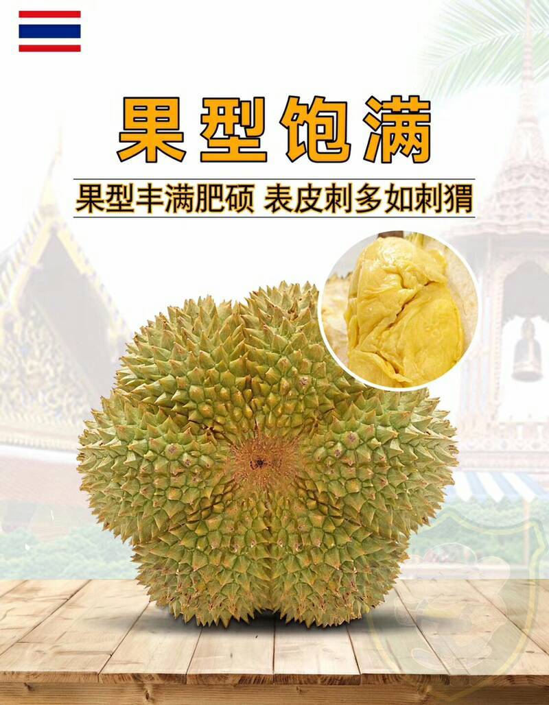 2024泰国甲仑榴莲来了榴莲味浓郁软糯甜蜜品质供货