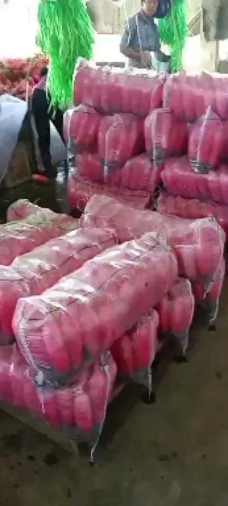红皮箩卜产地直销看货论价，保质保量，欢迎订购