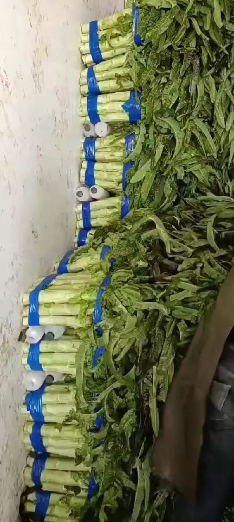 莴笋产地直销看货论价，保质保量，欢迎订购