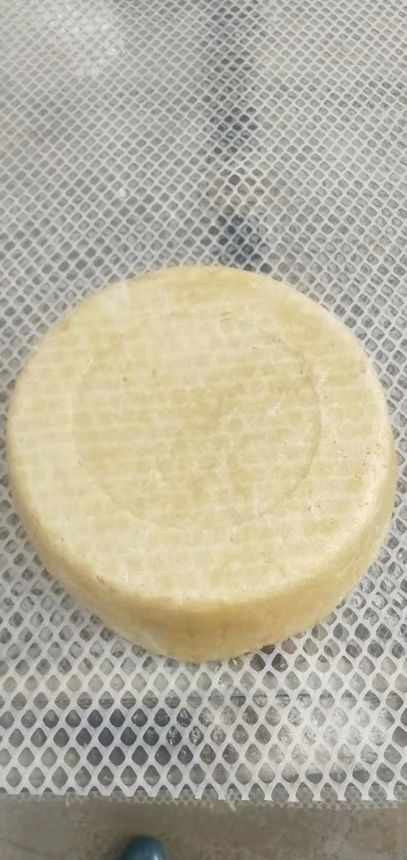 新款手工面筋，纯面筋，不含面！高品质，可预定规格！
