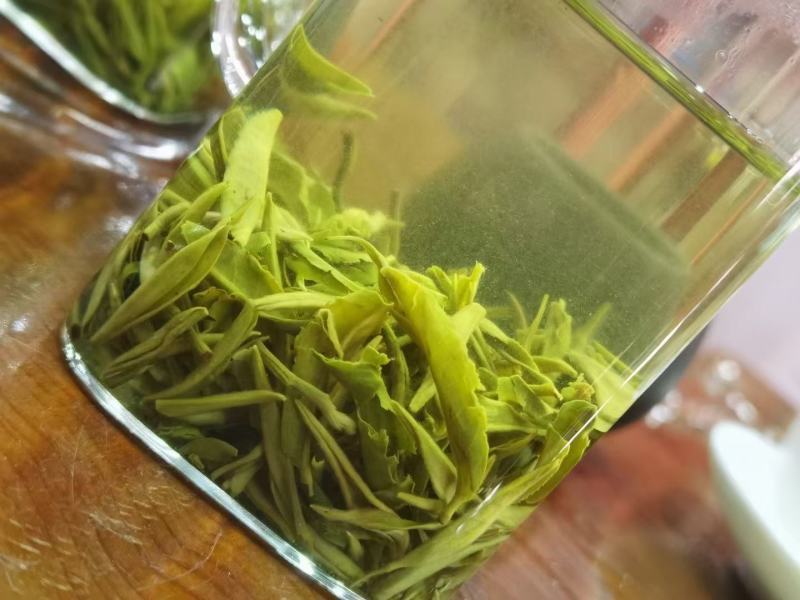 三都白茶