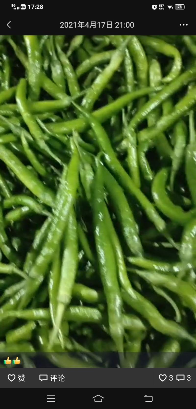 杭椒