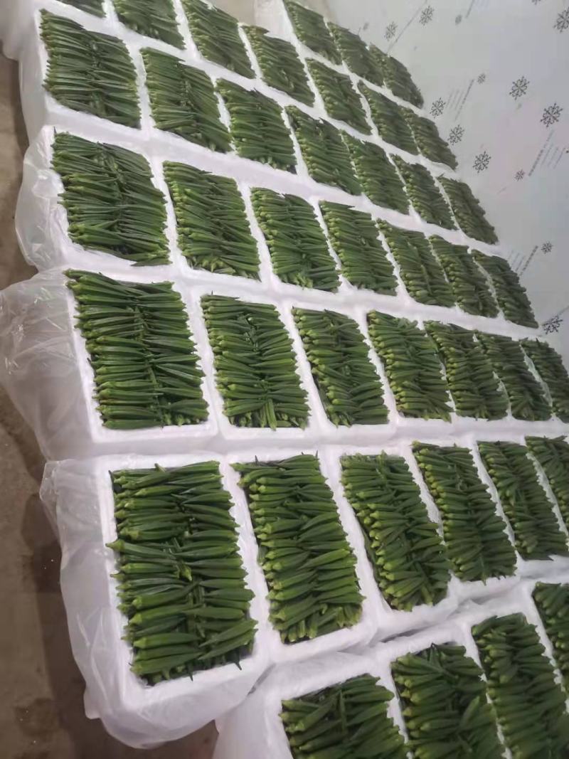 【10年团队】黄秋葵，水果秋葵，有量，有质量，视频看货