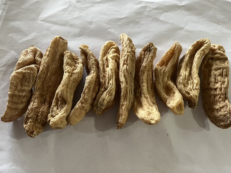 高清显微摄影展示芝麻根饮片形态特征:严格按《湖南省中药材标准》2022年版规定的采收加工规格,可见清晰木质部放射纹与皮层薄壁细胞,无霉变、虫蛀及非药用部位混入 芝麻根药材特写:干燥、棕褐色、直径0.3–0.8 cm的圆柱形根段,表面具纵皱纹与须根痕,断面黄白色,木质部呈放射状纹理,质地坚实,气微香,味微苦