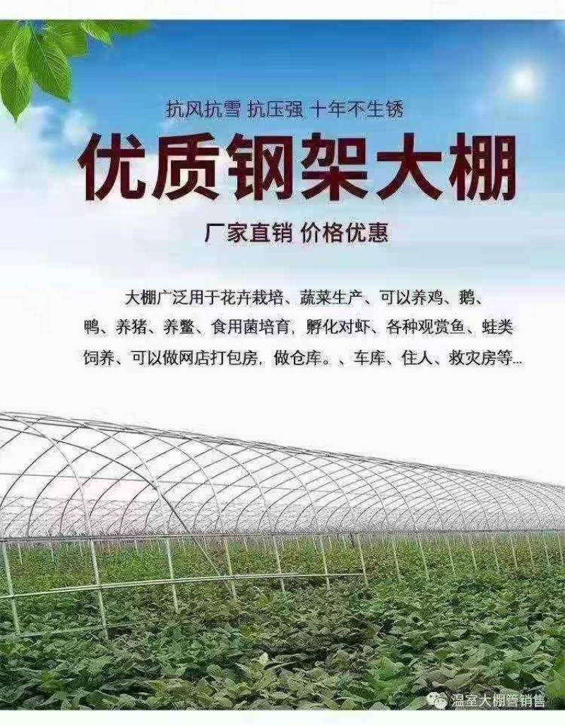 天津精品大棚骨架厂家直发品质保证欢迎各位老板联系