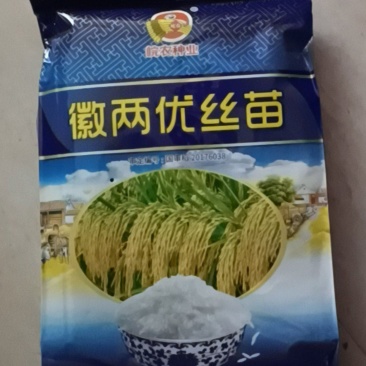水稻种子