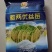 水稻种子