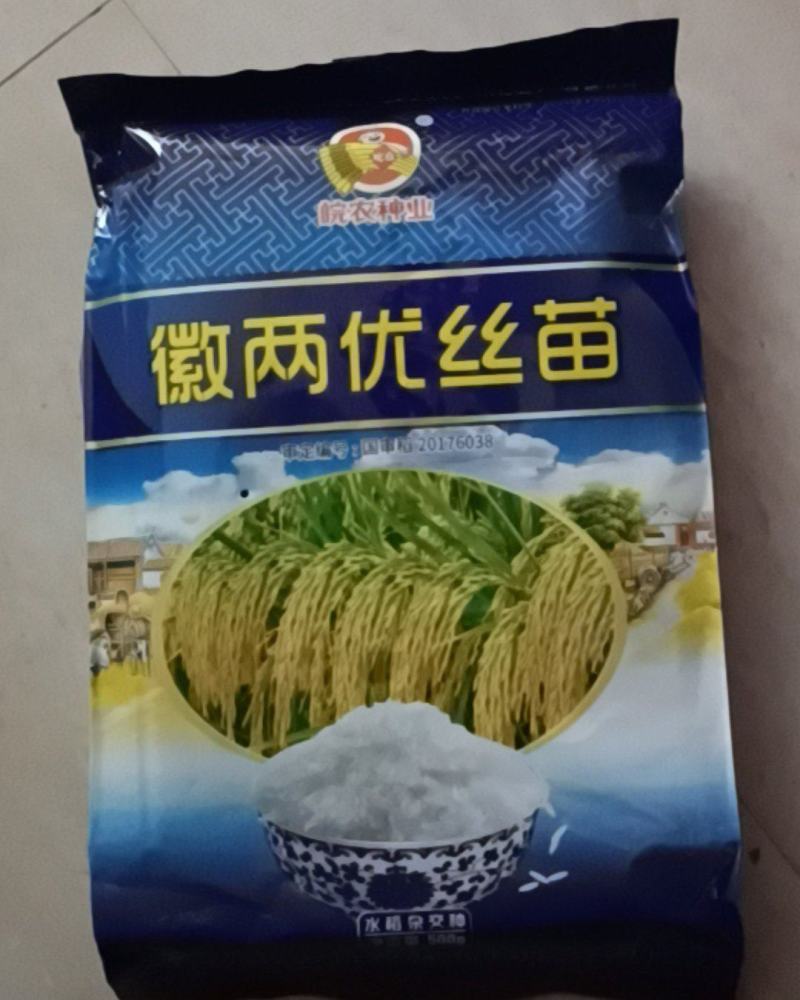 水稻种子