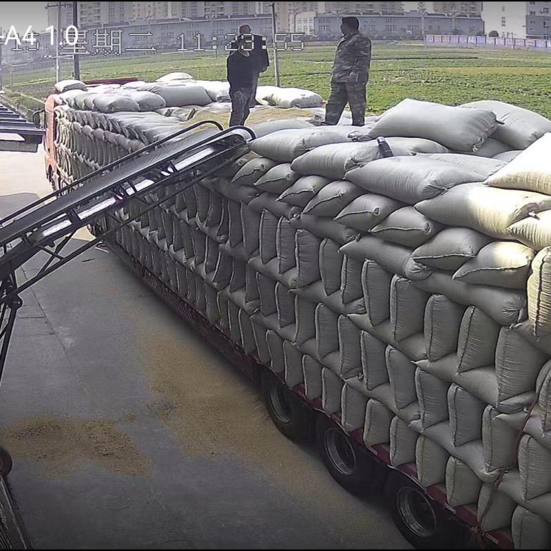 酿酒专用，仁怀市内到厂价，散装稻壳