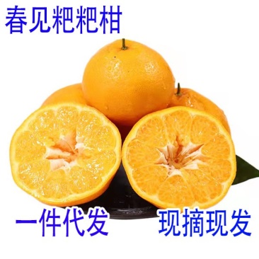 现货四川春见耙耙柑支持各大平台合作,支持一件代发包邮