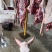 驴肉