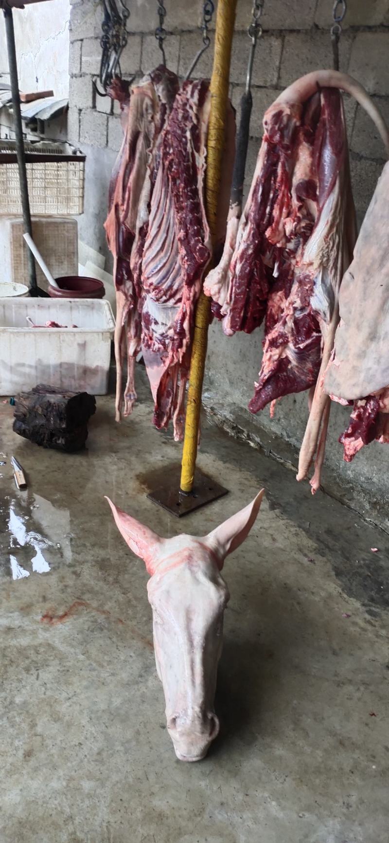驴肉