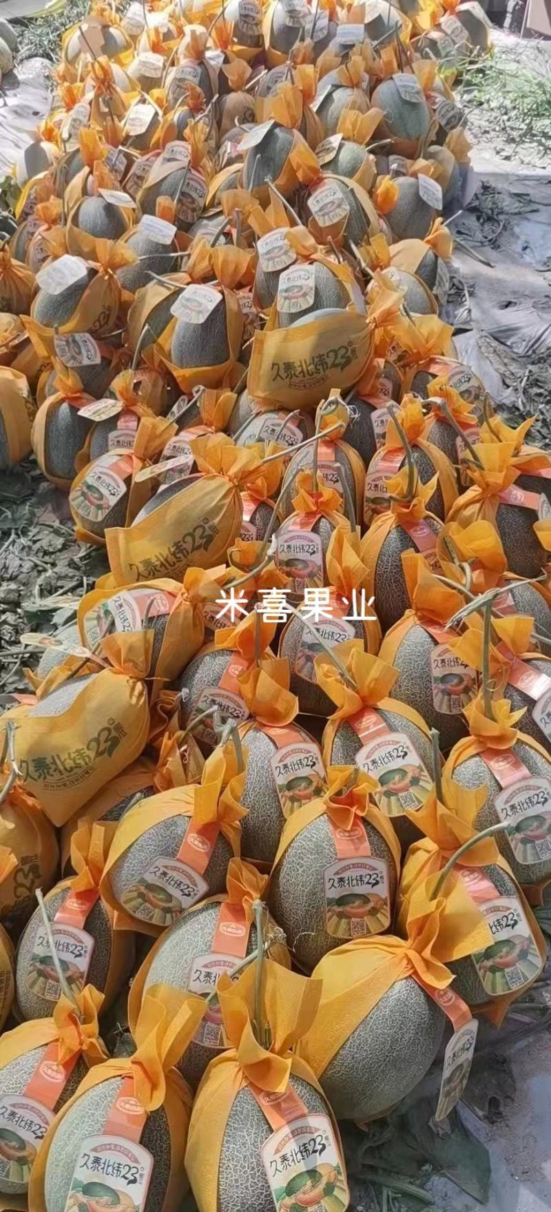 海南哈密瓜供应超市，电商市场，一件代发欢迎客户下单订购。