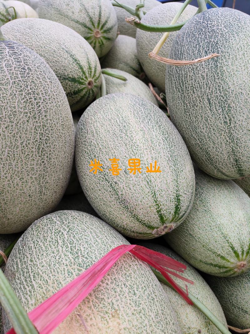 海南哈密瓜供应超市，电商市场，一件代发欢迎客户下单订购。