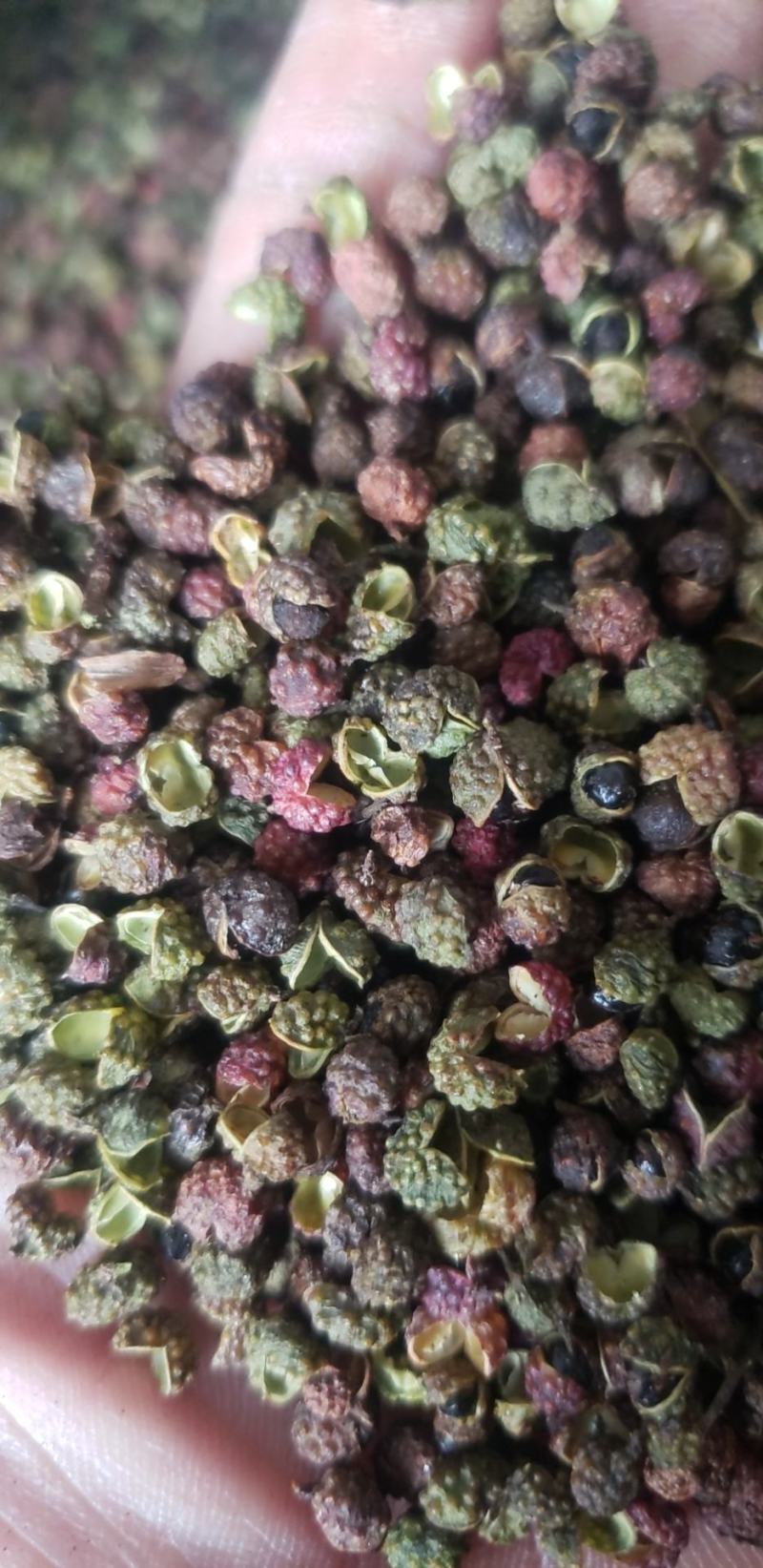 云南花椒调料品精品花椒香麻味浓一手货源质量保障等您来电