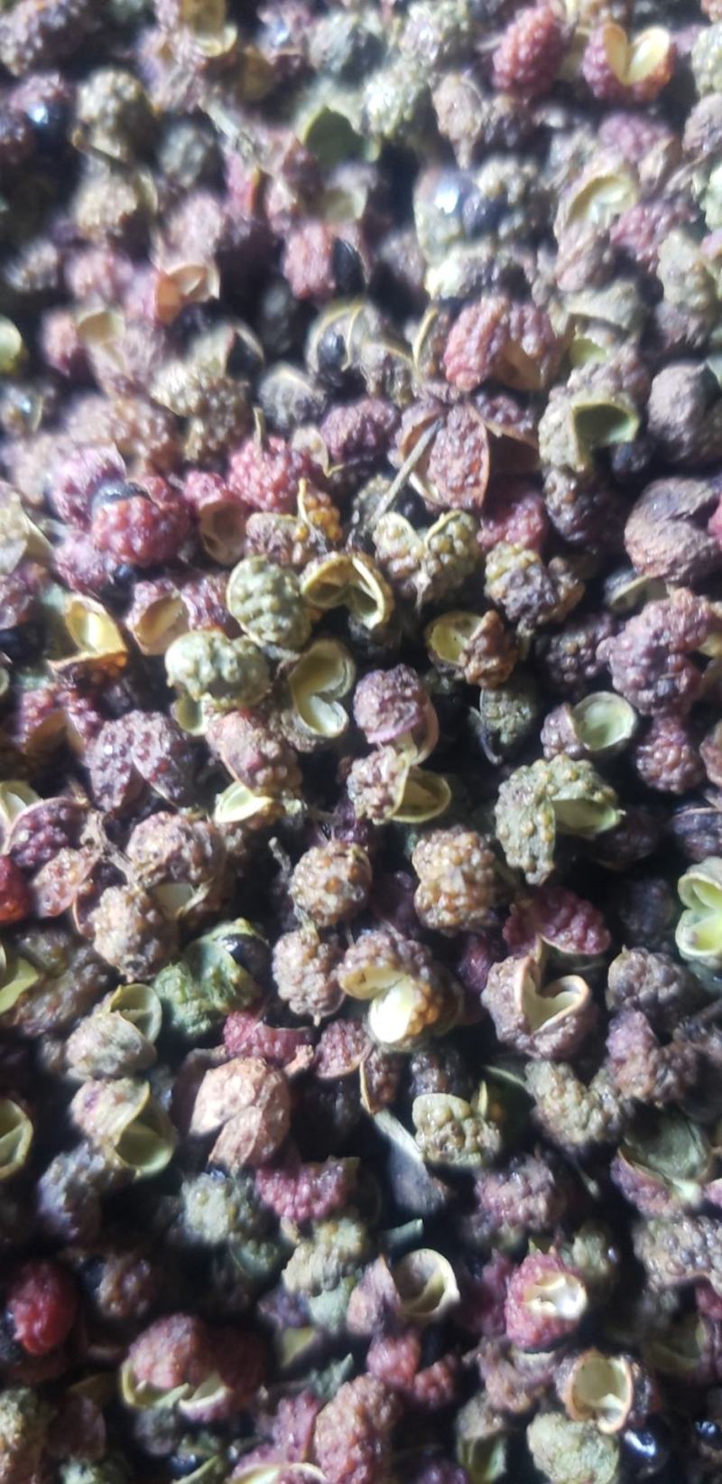 云南花椒调料品精品花椒香麻味浓一手货源质量保障等您来电