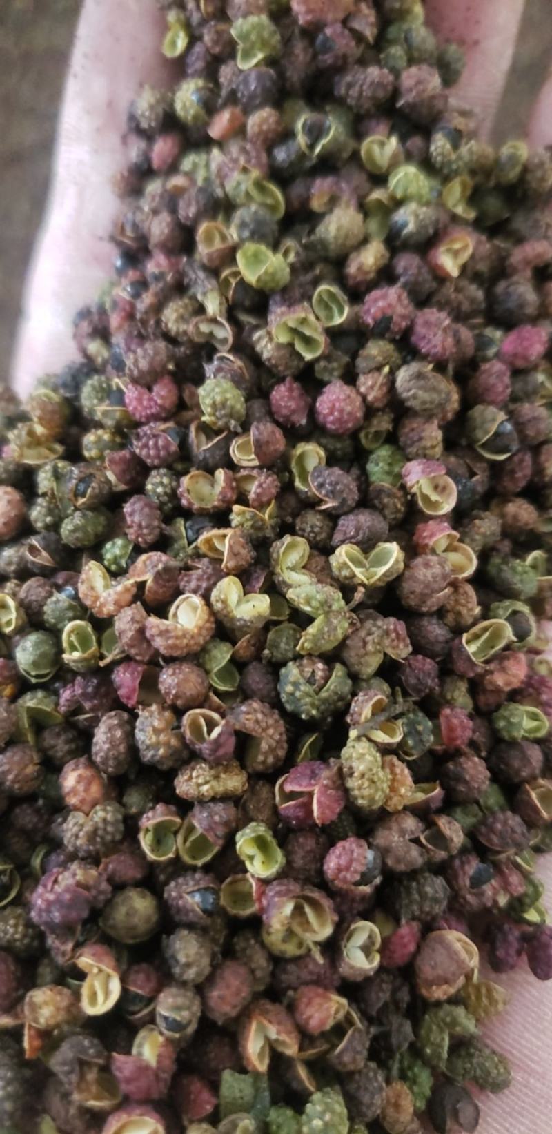 云南花椒调料品精品花椒香麻味浓一手货源质量保障等您来电