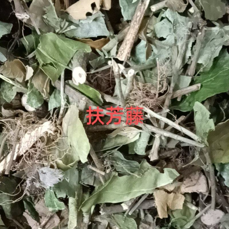 扶芳藤，产地直销，量大从优，野生药材