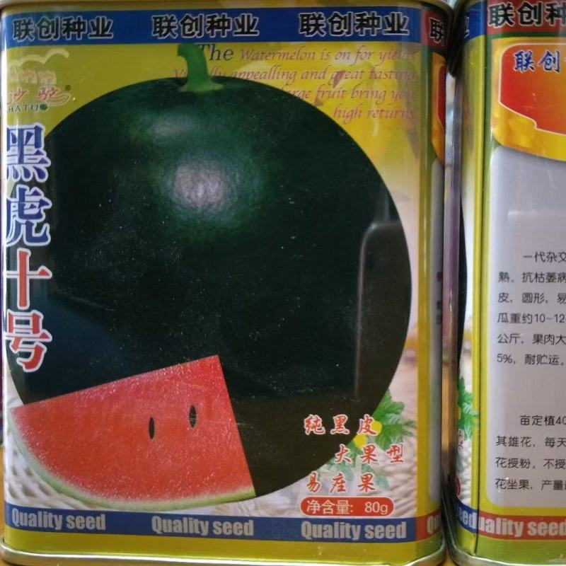 黑虎十号有籽西瓜种耐董茬20公斤抗桔萎病850种