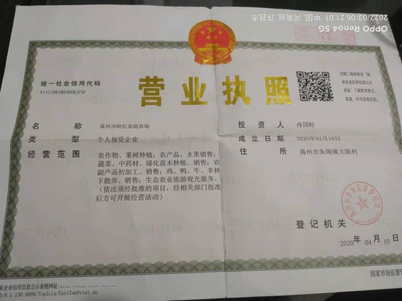 河南省许昌禹州红薯苗脱毒红薯苗商薯苗自家基地价格便宜