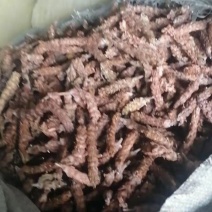 夏枯球，产地直发，量大从优，诚信经营，保质保量，欢迎来电咨询