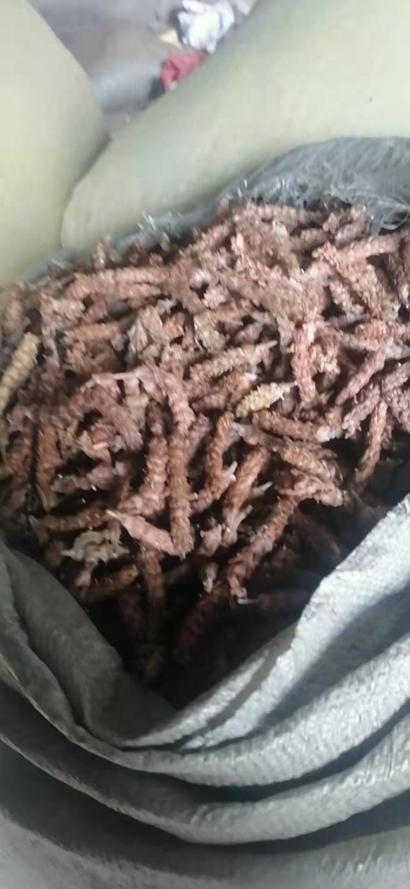 夏枯球，产地直发，量大从优，诚信经营，保质保量，欢迎来电咨询