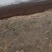 山东省济宁市梁山县大型场地晾晒纯牛粪基地