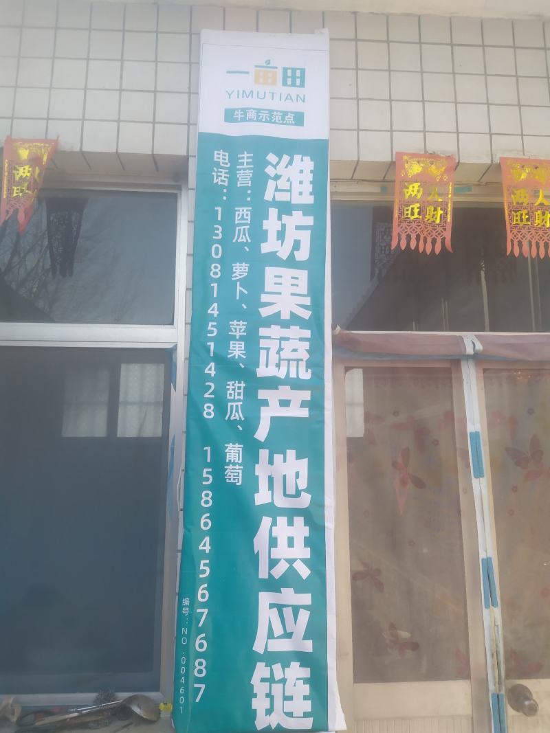 潍坊地爬全美2k西瓜每年3.20号大量上市，产地直供保熟