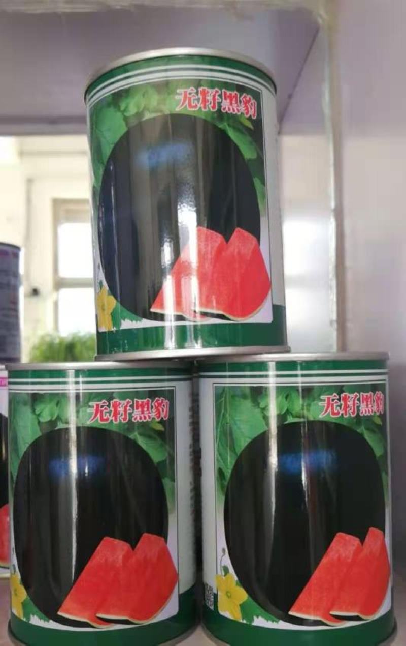 黑虎十号有籽西瓜种耐董茬20公斤抗桔萎病850种