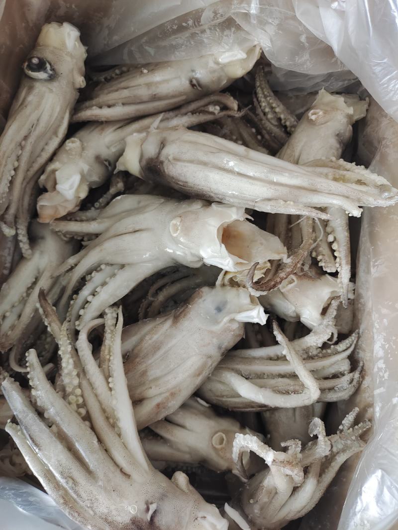脆口去皮去内脏鱿鱼，不发水***化学物质。