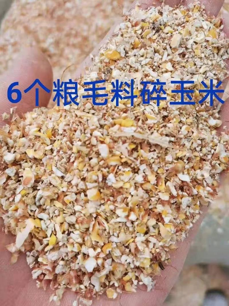 本公司常年出售碎玉米碎小麦，适合各种养殖，欢迎订购。