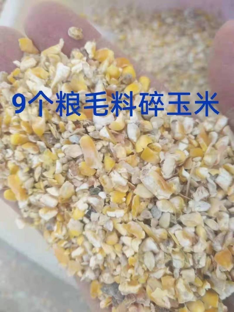 本公司常年出售碎玉米碎小麦，适合各种养殖，欢迎订购。