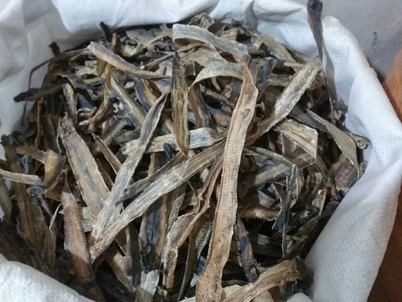 地龙干货地龙中药材各种规格齐全欢迎选购！