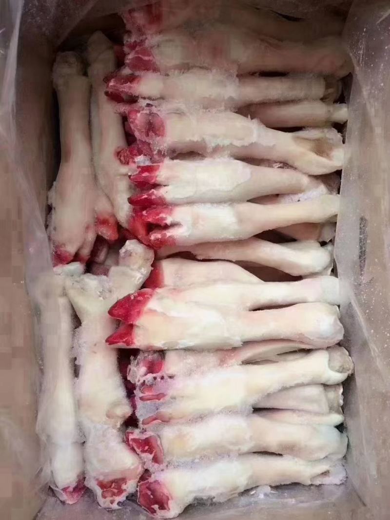 羊蹄