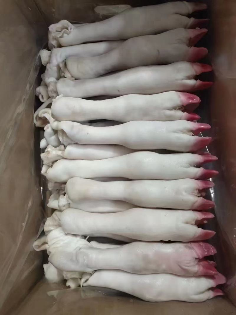 羊蹄
