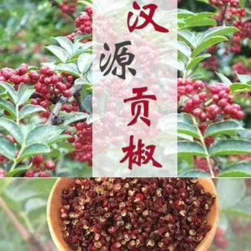 汉源小李，花椒苹果李子代办