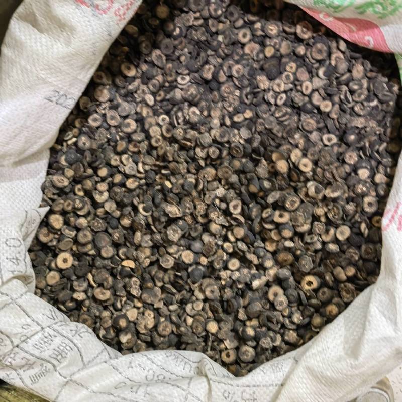 枳实今天新货颜色好看实图拍摄产地采购一手货源