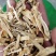 石刁柏芦笋干石刁柏干老根石刁柏龙须草包邮