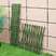 伸缩竹片篱笆户外园艺庭院菜园花园围栏围墙栅栏爬藤架装饰竿