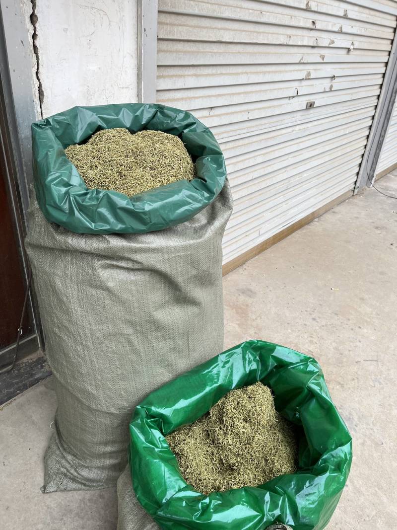 山银花实图拍摄今年新货产地采购一手货源量大从优
