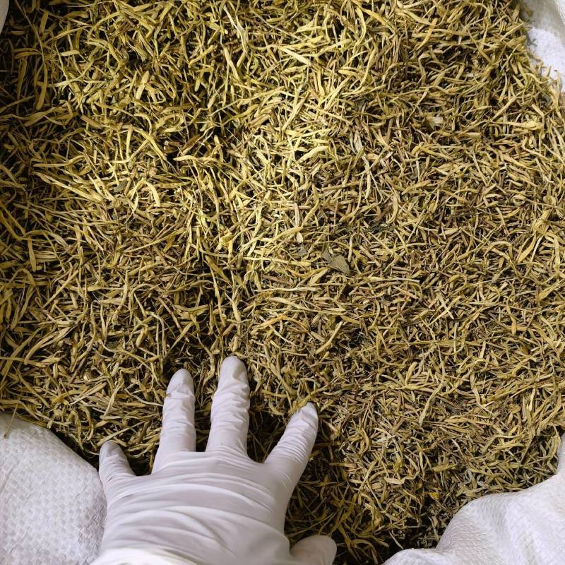 山银花实图拍摄今年新货产地采购一手货源量大从优