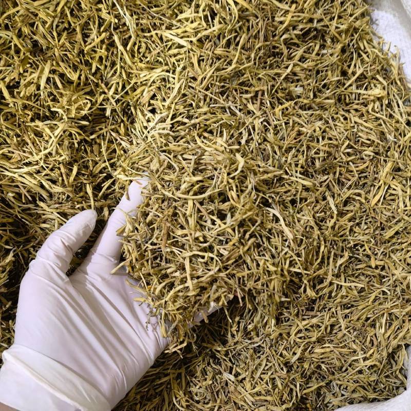 山银花实图拍摄今年新货产地采购一手货源量大从优