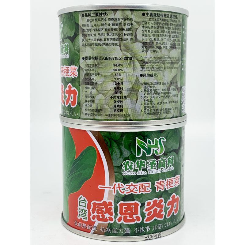 感恩炎力耐热耐湿青梗菜种子不拔节非常好吃原装100克
