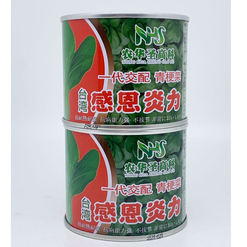 感恩炎力耐热耐湿青梗菜种子不拔节非常好吃原装100克