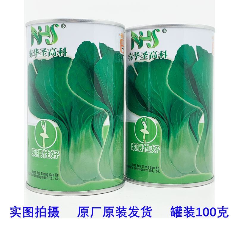耐热束腰青梗菜种子甜嫩好吃原装发货100克上海青种子