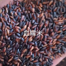 血糯米，（黑糯米）糯性好，颗粒饱满，，袋装50斤