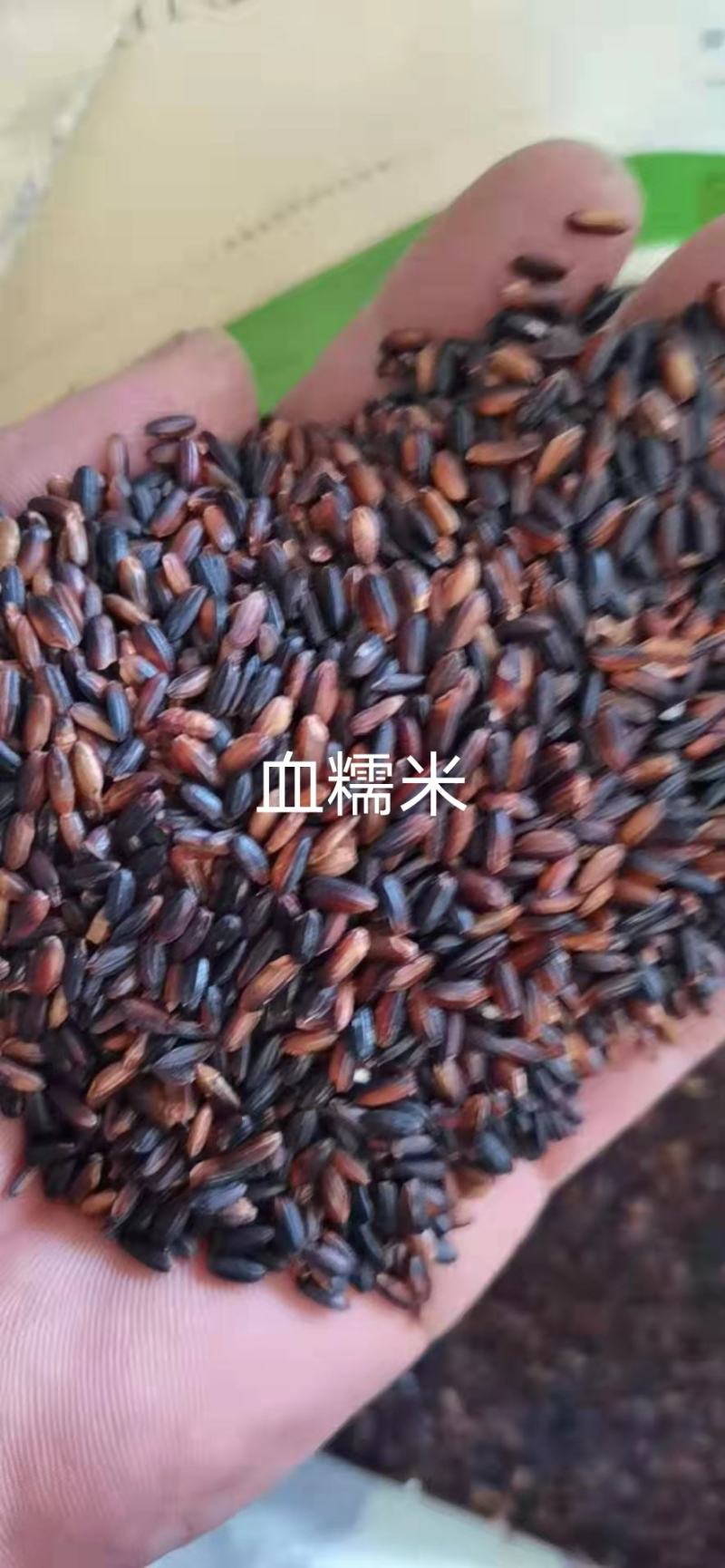 血糯米，（黑糯米）糯性好，颗粒饱满，，袋装50斤