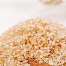 糙米，三色糙米，颗粒饱满，