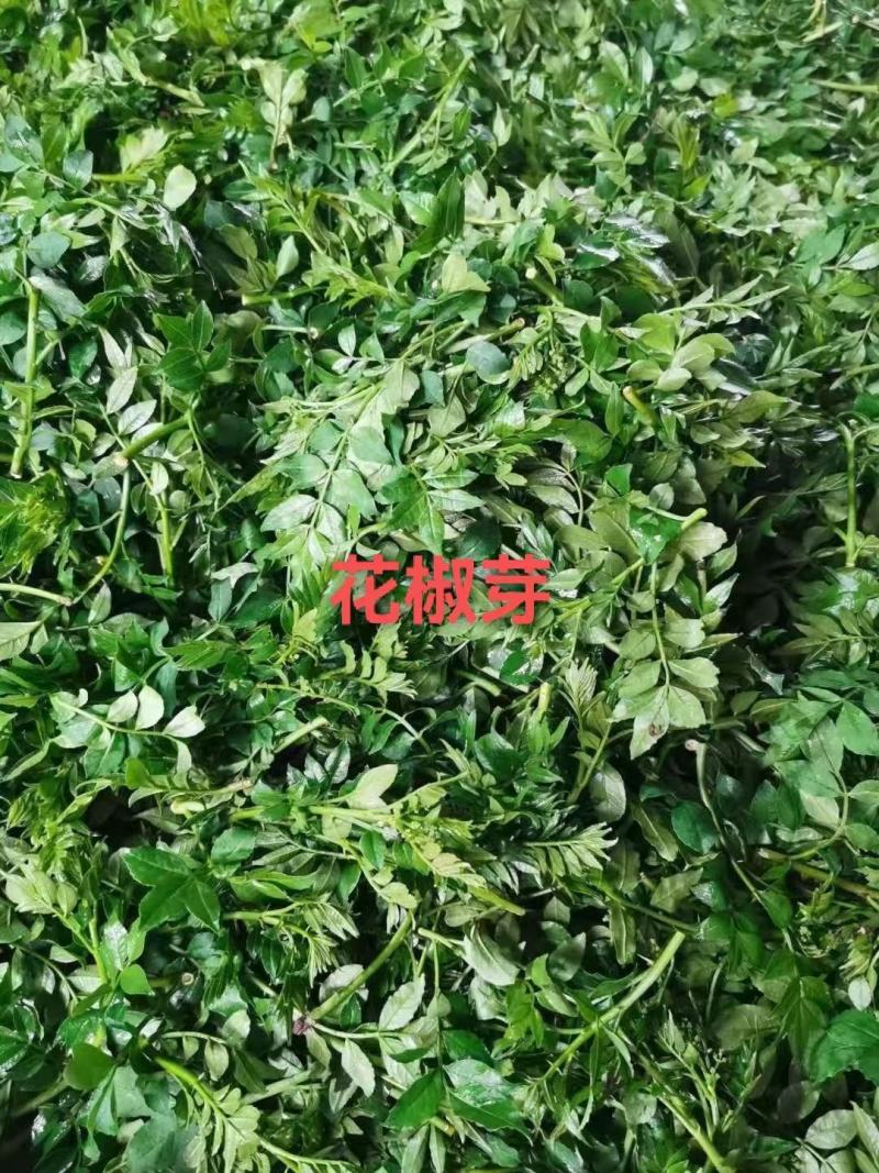 花椒芽